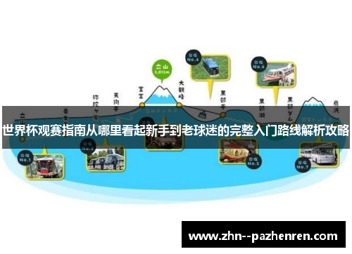 世界杯观赛指南从哪里看起新手到老球迷的完整入门路线解析攻略